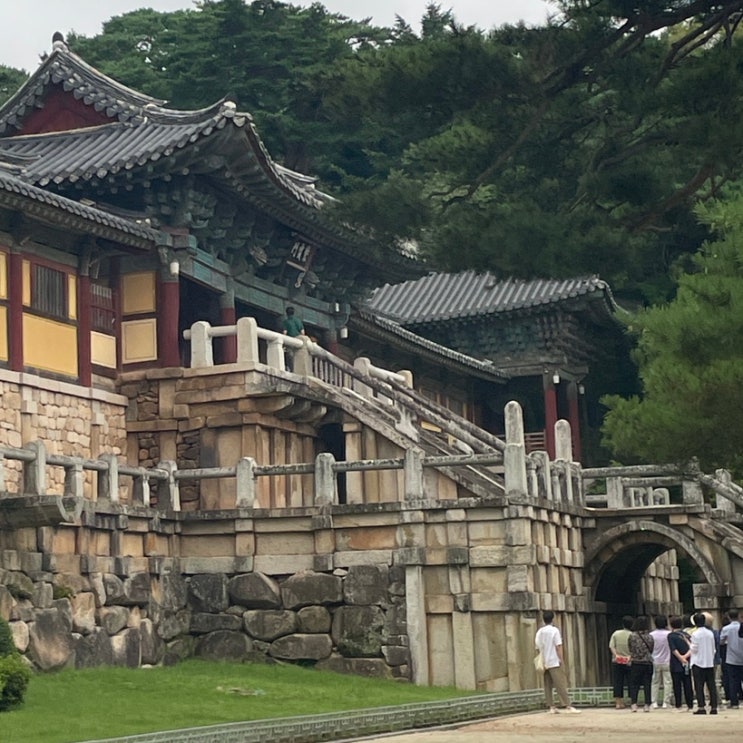  불국사 | 경주 산책 코스 추천 불국사 무료 개방 (Feat. 문화해설 신청방법)