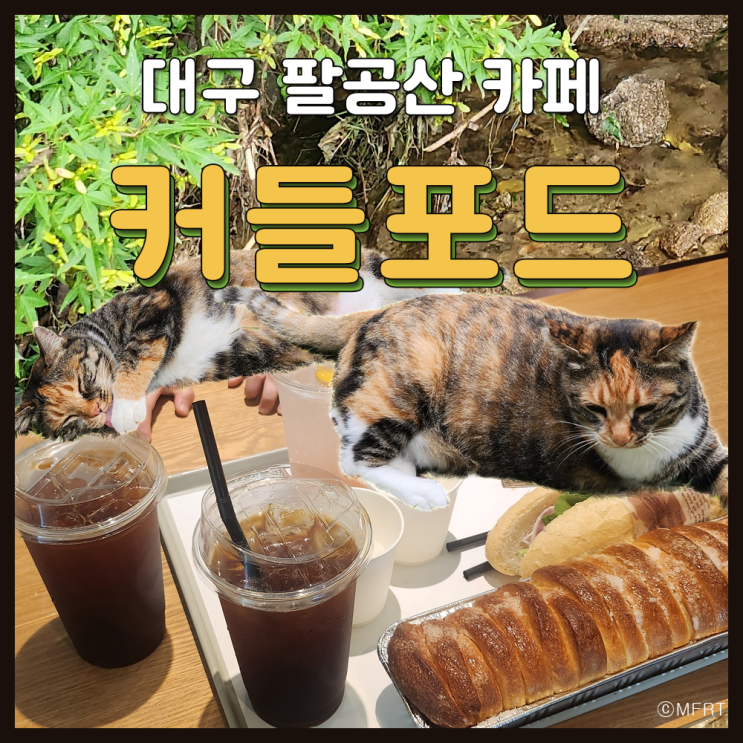  대구 팔공산 카페 커들포드 대형 베이커리 계곡도 즐길 수 있는 카페