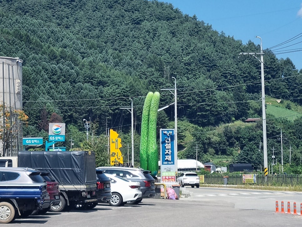 수골 사진 1
