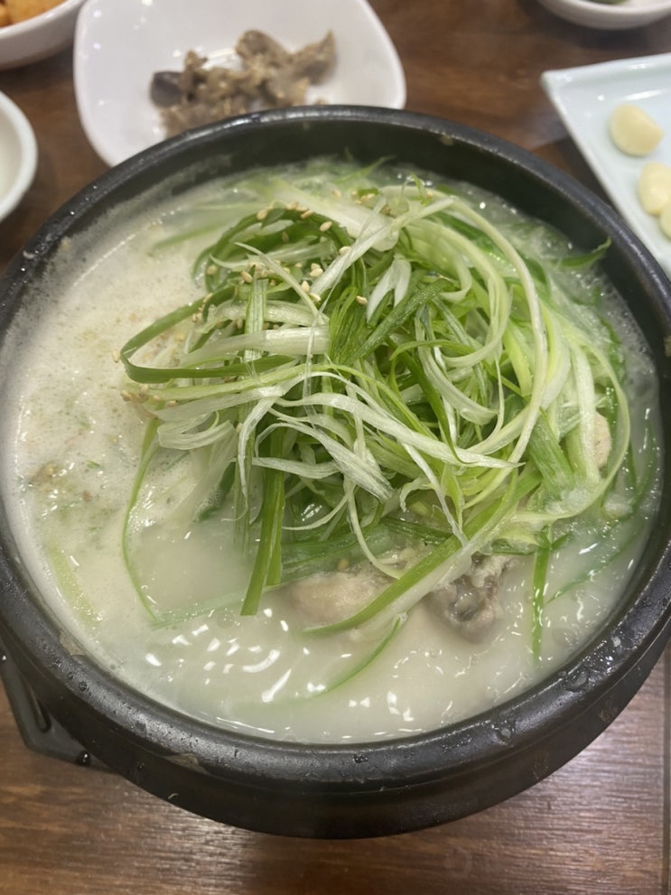  [부산 동래] 유명한 맛집 '배종관동래삼계탕' 시바견이 있는 '카페륜'