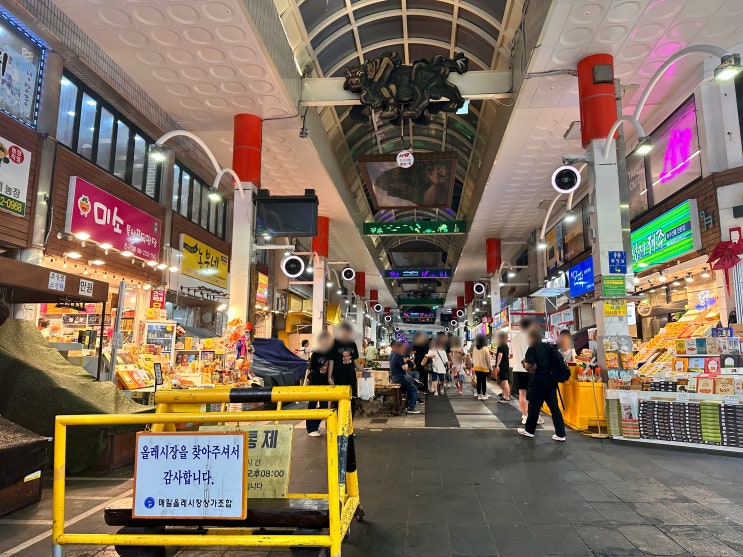  서귀포 가볼 만한 곳, 먹거리 가득한 제주도 매일 올레시장 (주차장 및 영업시간 정보