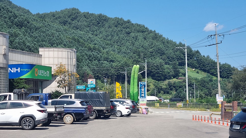 수골 사진 2