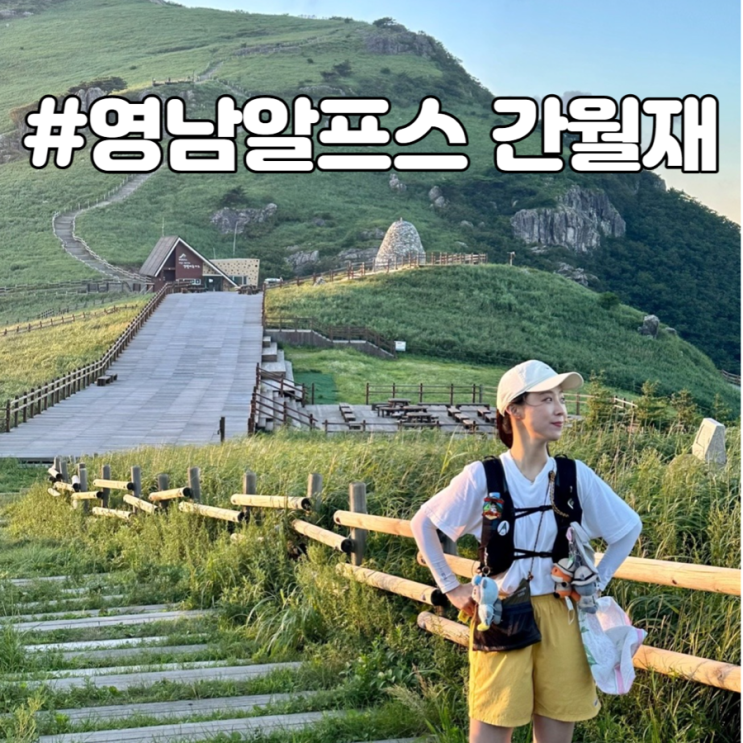  영남알프스 울산 간월재 여름 초록 억새군락지 초보자등산코스