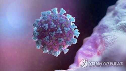 美서 돌연변이 30여개 더 많은 코로나19 새 변이 확산 조짐 美서 돌연변이 30여개 더 많은 코로나19 새 변이 확산 조짐