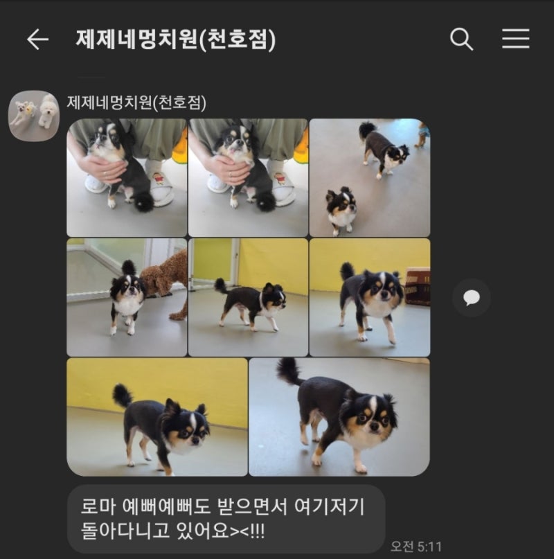 사진 2