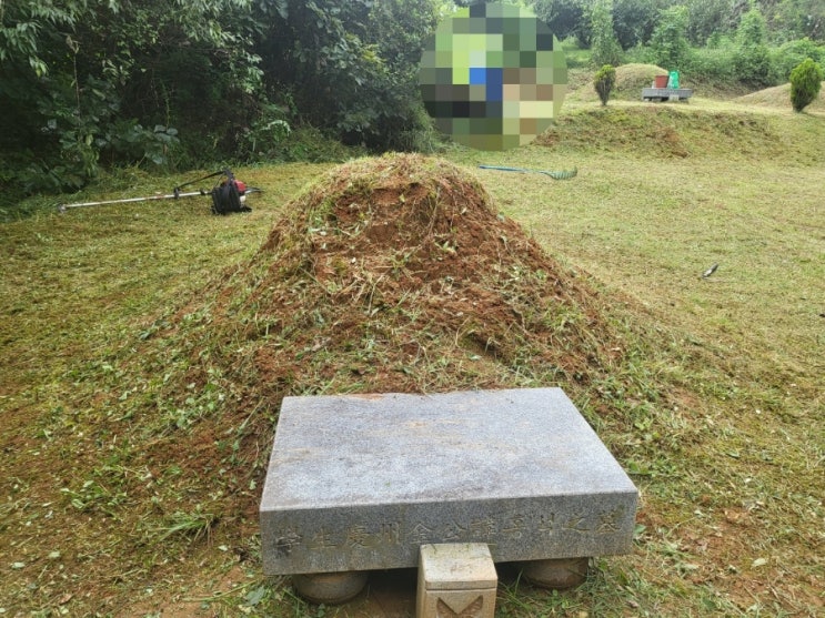  2023년 김천 어모면 동좌리 2기벌초 고인돌장묘개발장의사