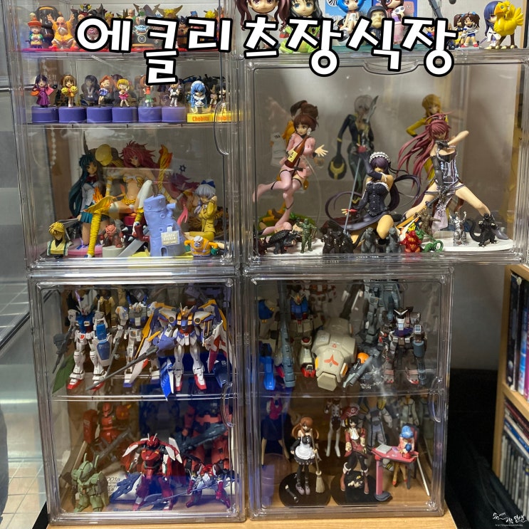  에클리츠 피규어 장식장 리뷰