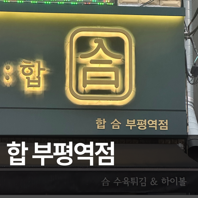 [인천] 부평 수육 튀김이 맛있는 안주 맛집 합 부평역점