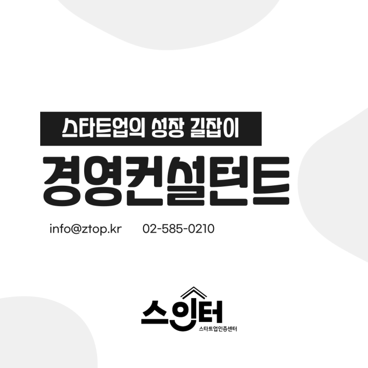  스타트업의 성장 길잡이, 경영컨설턴트