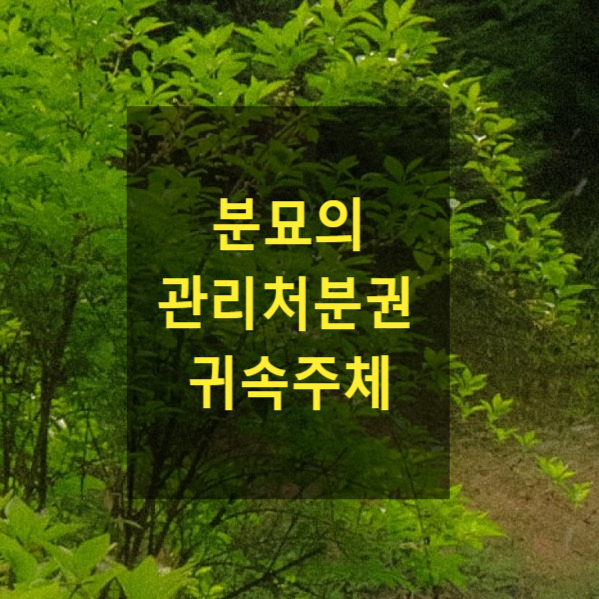  분묘의 관리처분권 귀속주체