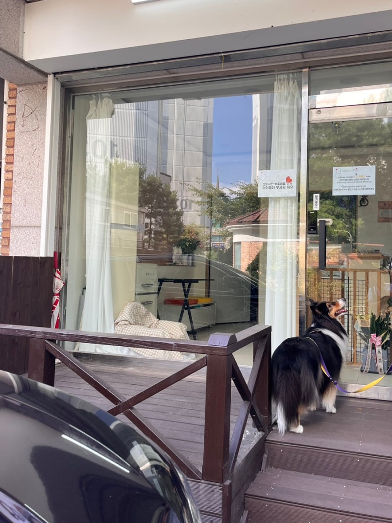 왈컴