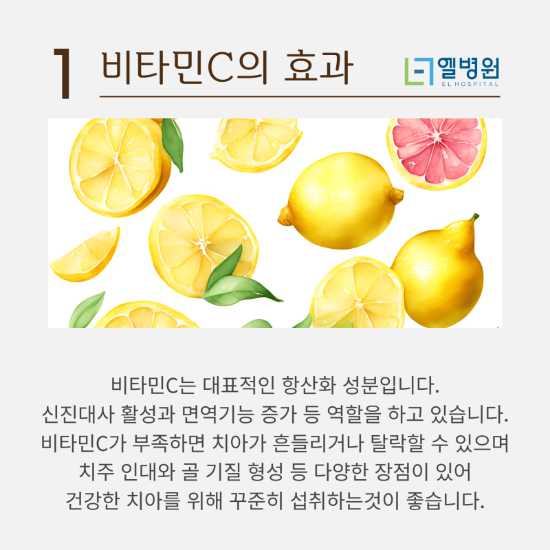 비타민 나무의 효능 3가지와 부작용, 먹는 법 : 산사나무, 백톤