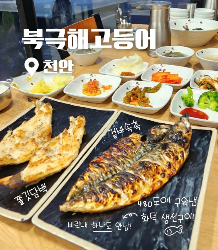  북극해고등어 천안 화덕생선구이 맛집 솔직후기 (ft. 대구뽈살, 고등어구이)