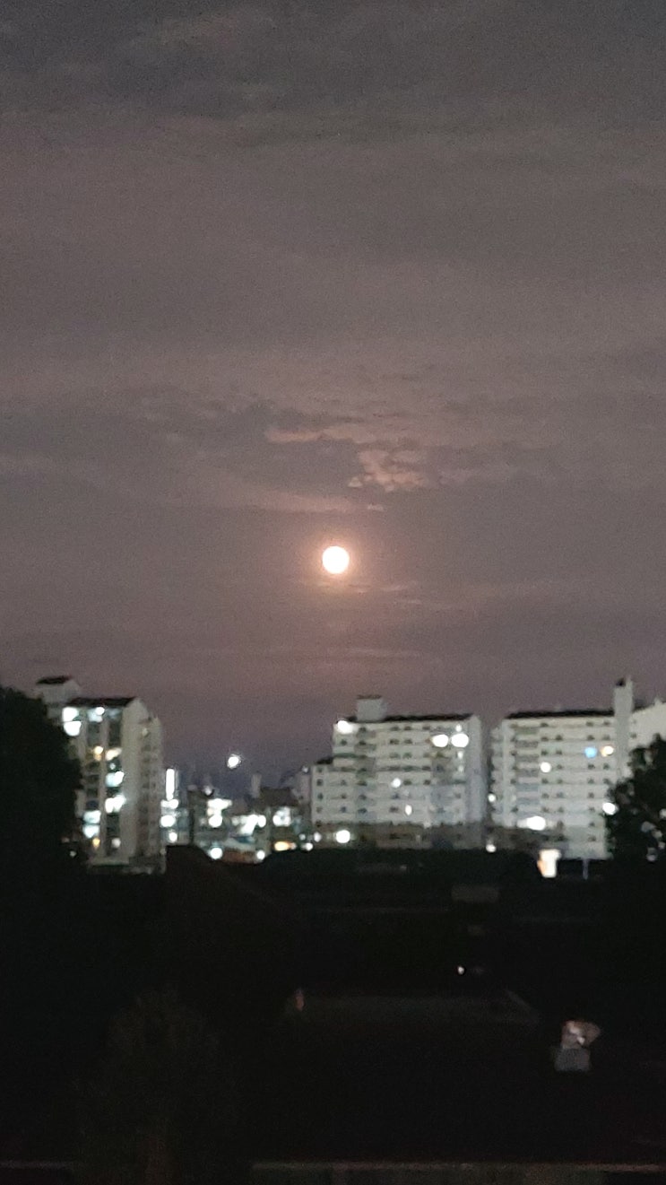  블루 슈퍼문이라던데 왜 옐로우였는지...