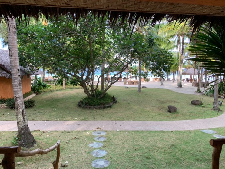 [일상-해외여행] 필리핀 시키호르섬 숙소 추천 코코그로브 비치 프런트 빌라(2) 객실 후기