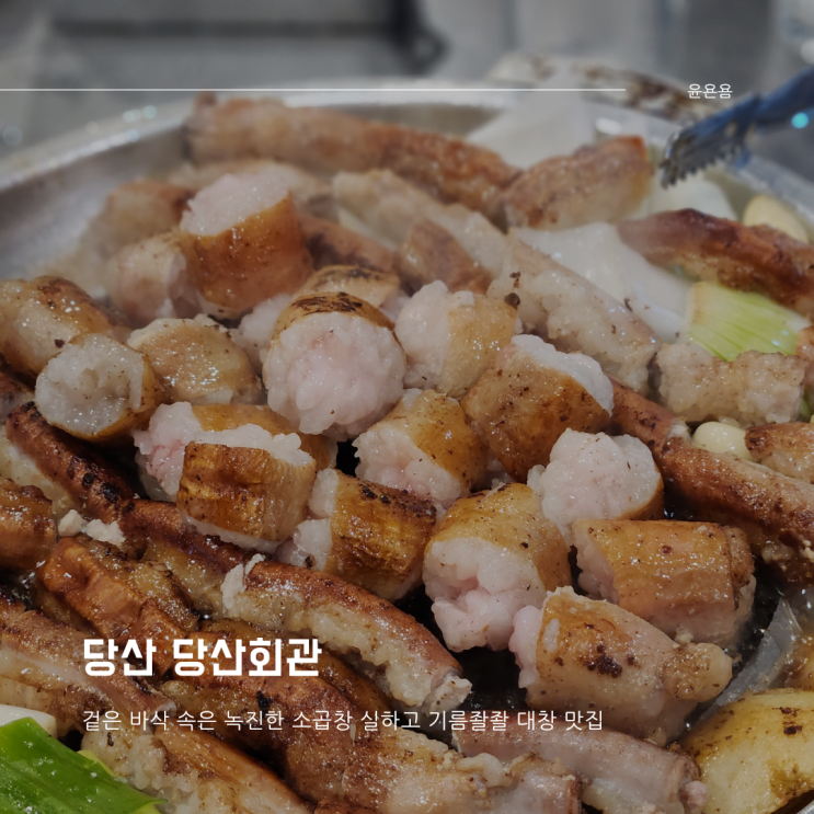  당산 당산회관 한우소곱창 대창 볶음밥 생간 격파