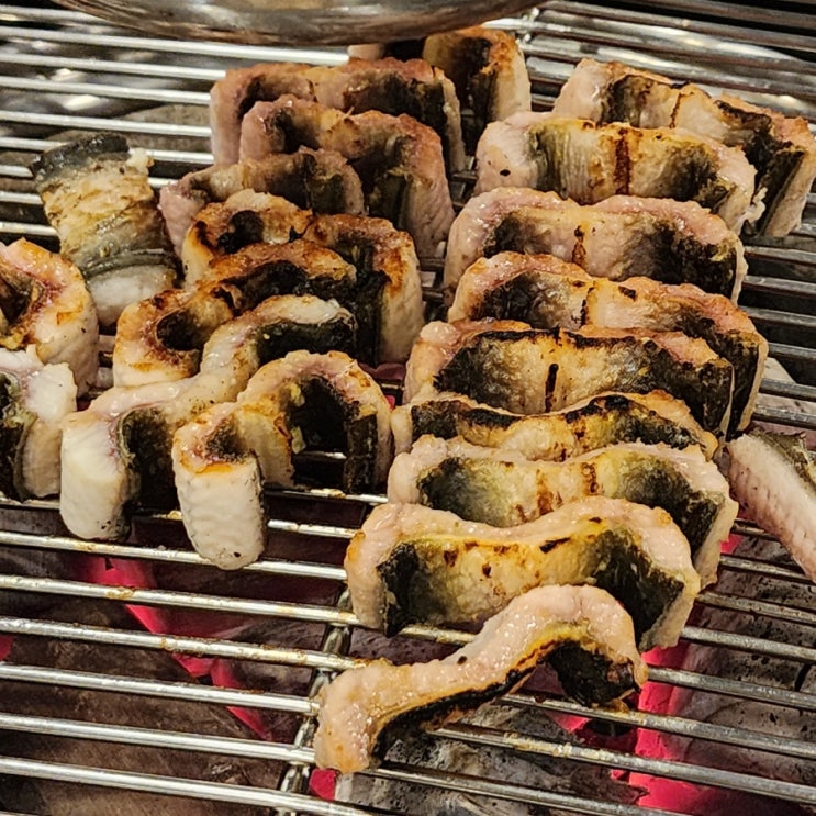  광주 장어맛집 장어명가청산 북구점 무항생제 장어 기력회복 후기