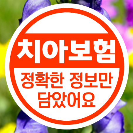  치아보험 비갱신 상품과 치아보험 보험료 안내
