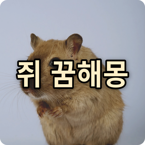 쥐꿈해몽15가지 : 쥐태몽, 쥐죽이는꿈, 죽은쥐꿈, 쥐떼꿈, 쥐잡는꿈, 쥐한테 물리는꿈, 큰쥐꿈....
