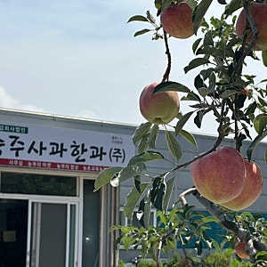 지역생산품애용 충주사과한과 아이들 간식으로 딱!