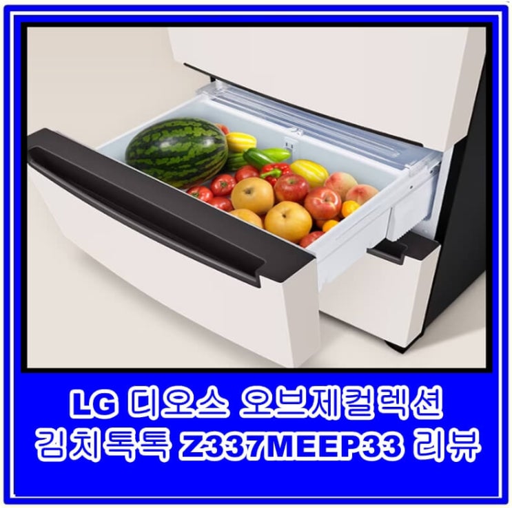 LG 디오스 오브제컬렉션 김치톡톡 Z337MEEP33 리뷰