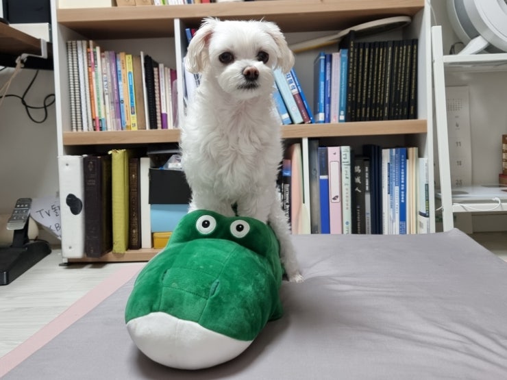 사진 4