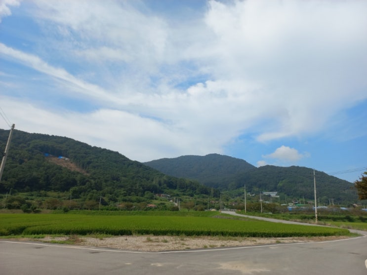 당신은 어쩜 그리 그 자리를 지켜냈나요