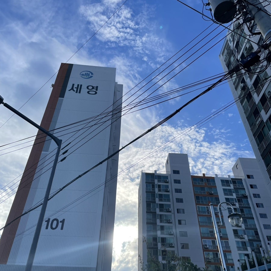 본헤어 사진 2