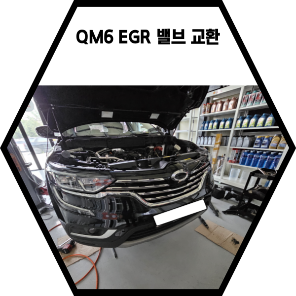  르노 QM6 EGR 밸브 교환