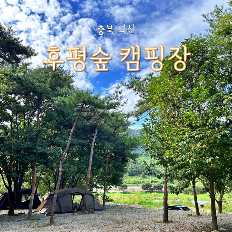  충북 괴산 후평숲캠핑장 첫 방문.