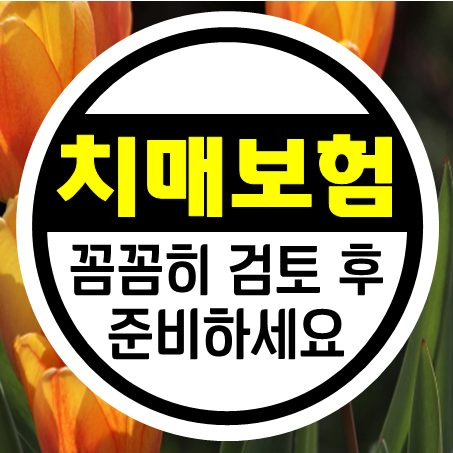  치매보험료 확인할 때 알면 도움되는 치매보험비교 상식
