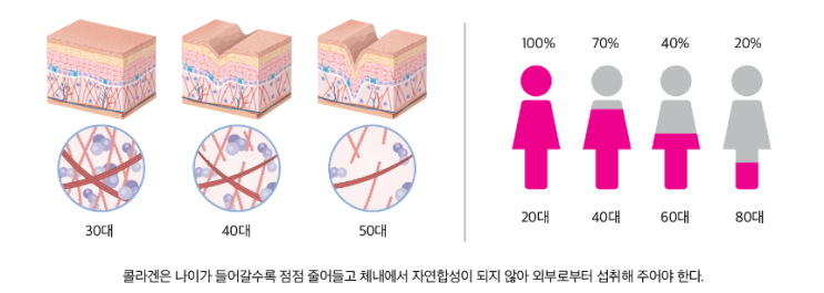  콜라겐/ 엘라스틴 고르는 기준 - 이거 보면 실패 안 해!