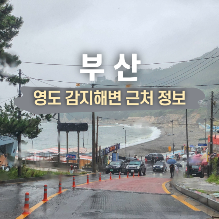  부산 영도 감지해변 드라이브 산책 조개구이촌