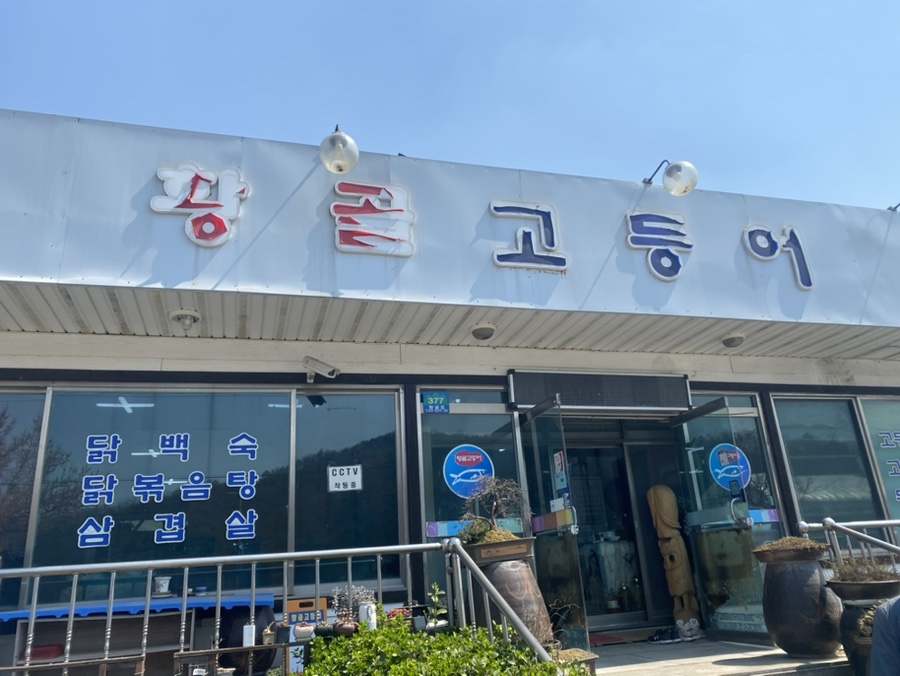 황골고등어 사진 1