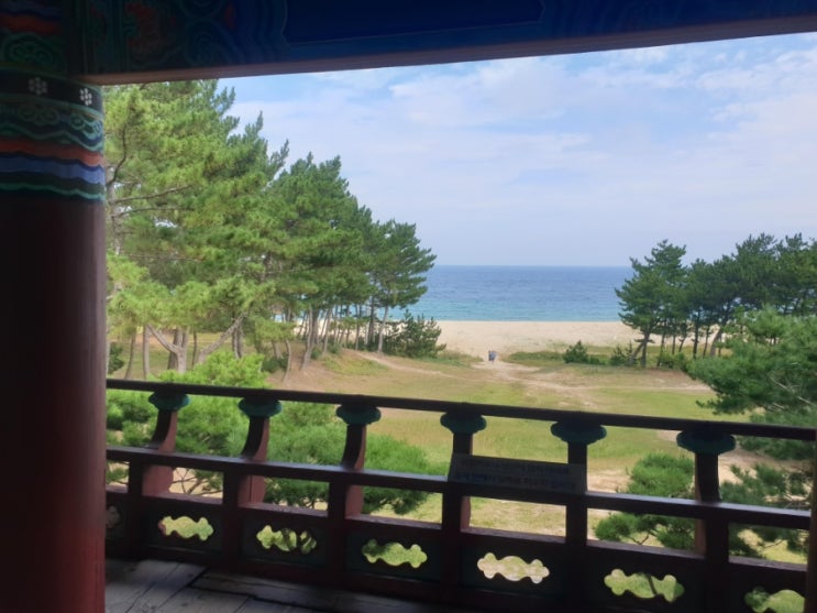  월송정 울진 명소 바다뷰 숲뷰 조용하고 고즈넉한곳