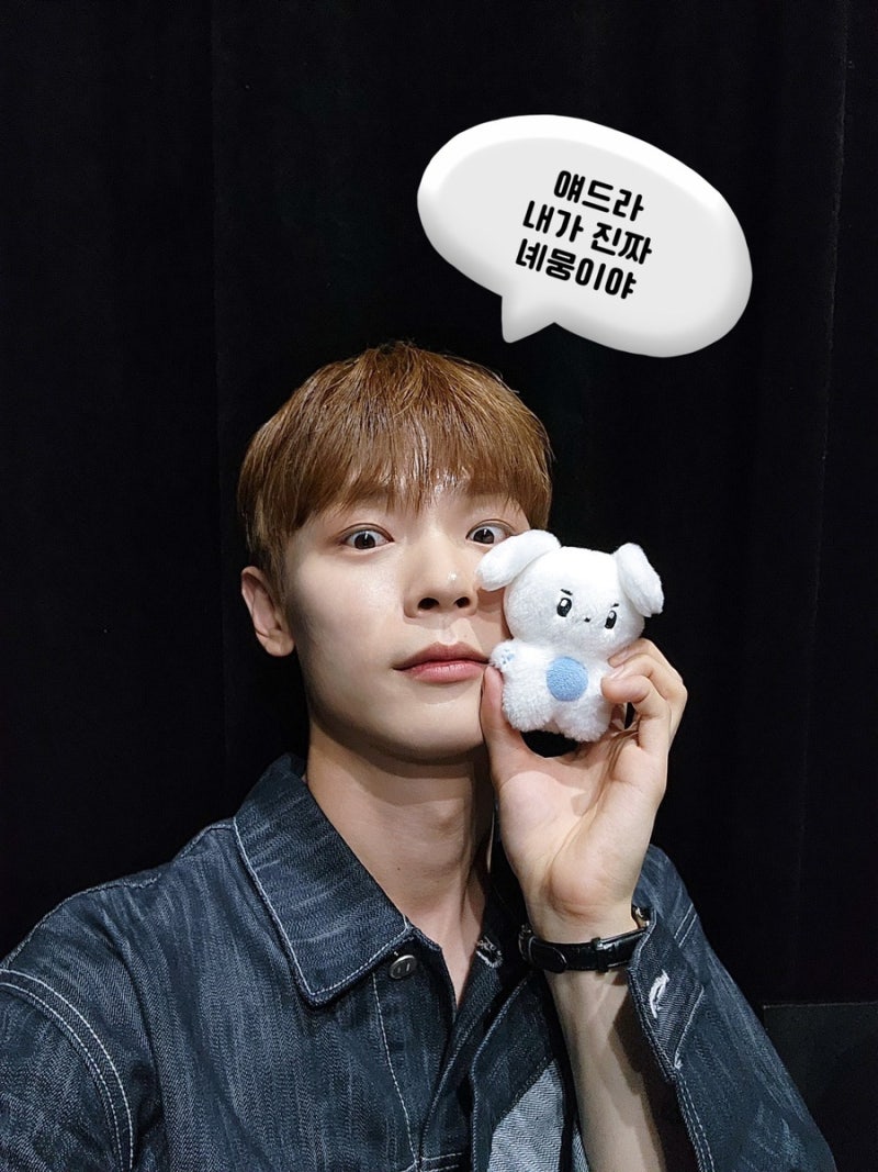 루시 10cm 인형 리스트 정리! (신예찬 인형 중심)