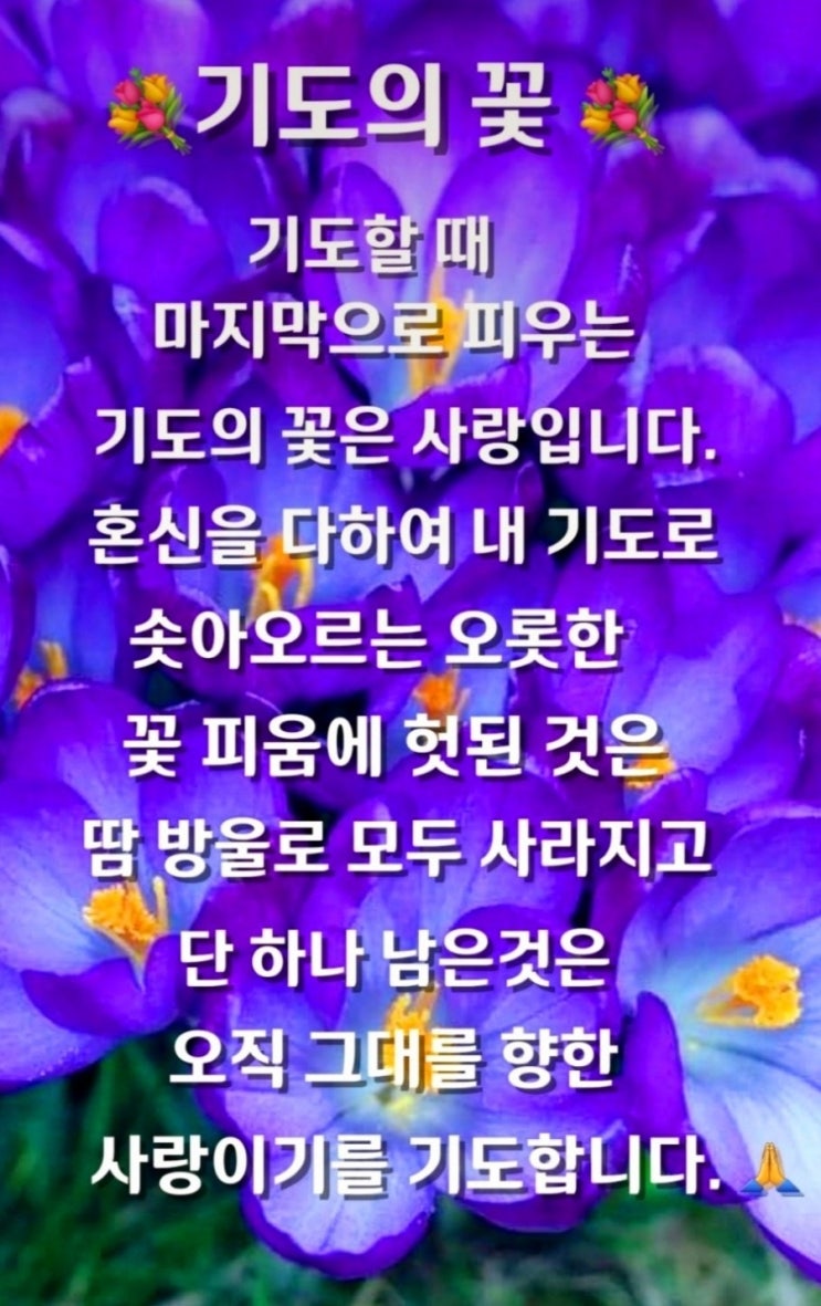 맥스마케터의오늘의성경한구절 맥스마케터의오늘의성경한구절