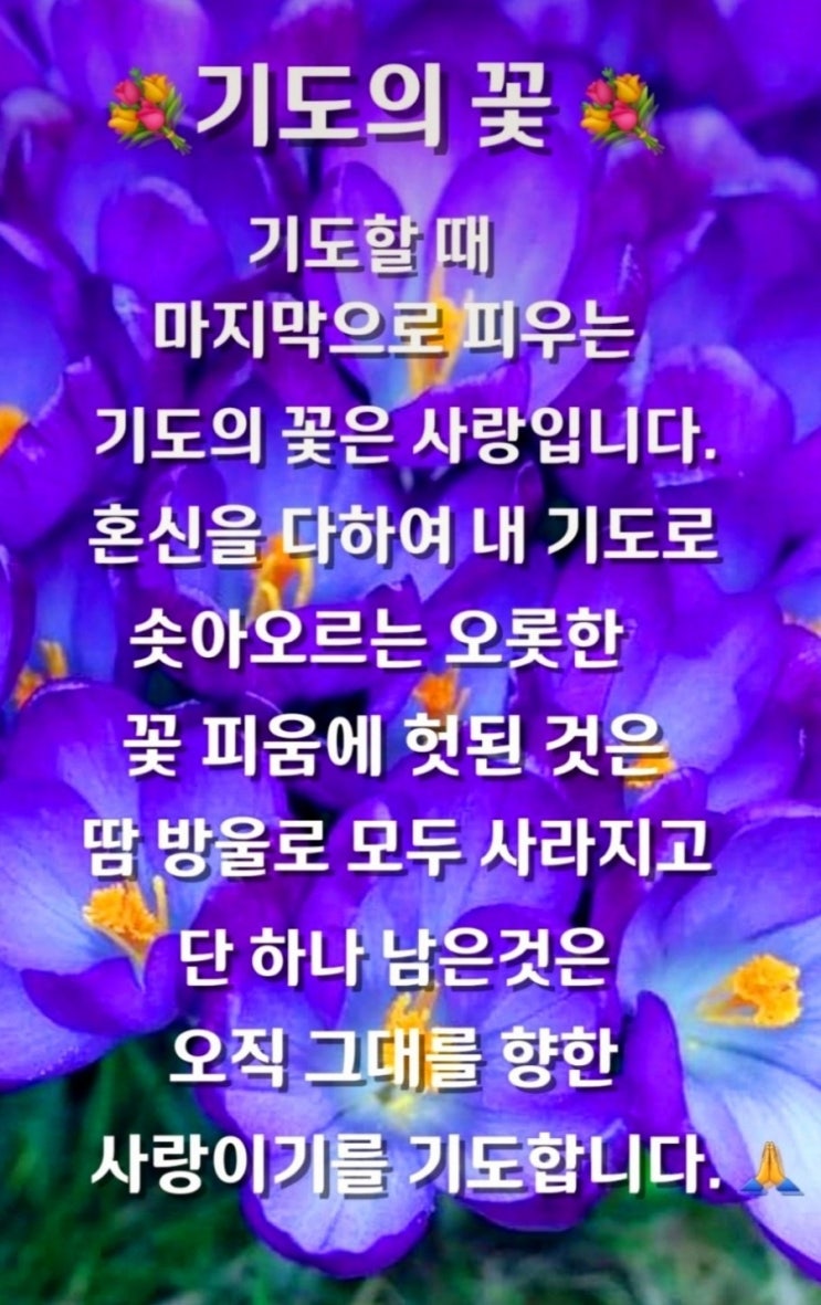 맥스마케터의오늘의성경한구절