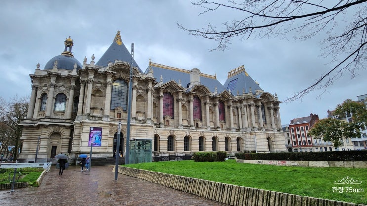 프랑스 릴(Lille) 여행 3 : 릴 미술관(Palais des Beaux-Arts de Lille)