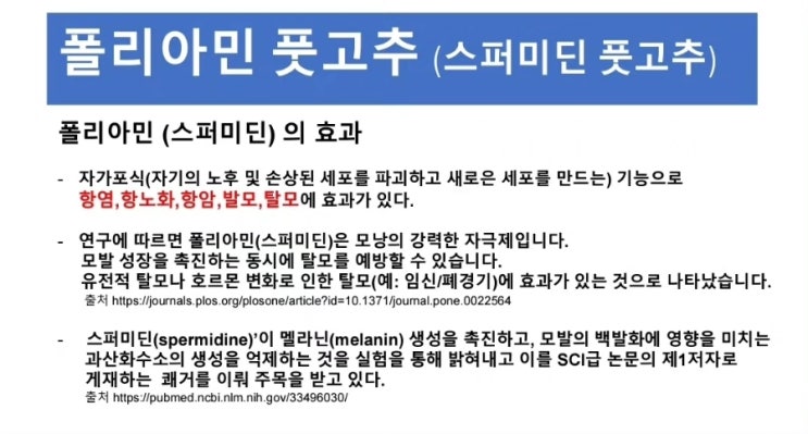  우주씨드바이오 폴리아민풋고추 효능 효과, 스퍼미딘풋고추 효능 효과