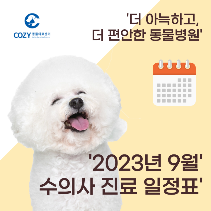  인천 논현동 동물병원 - 코지 동물의료센터 논현점 진료스케쥴표