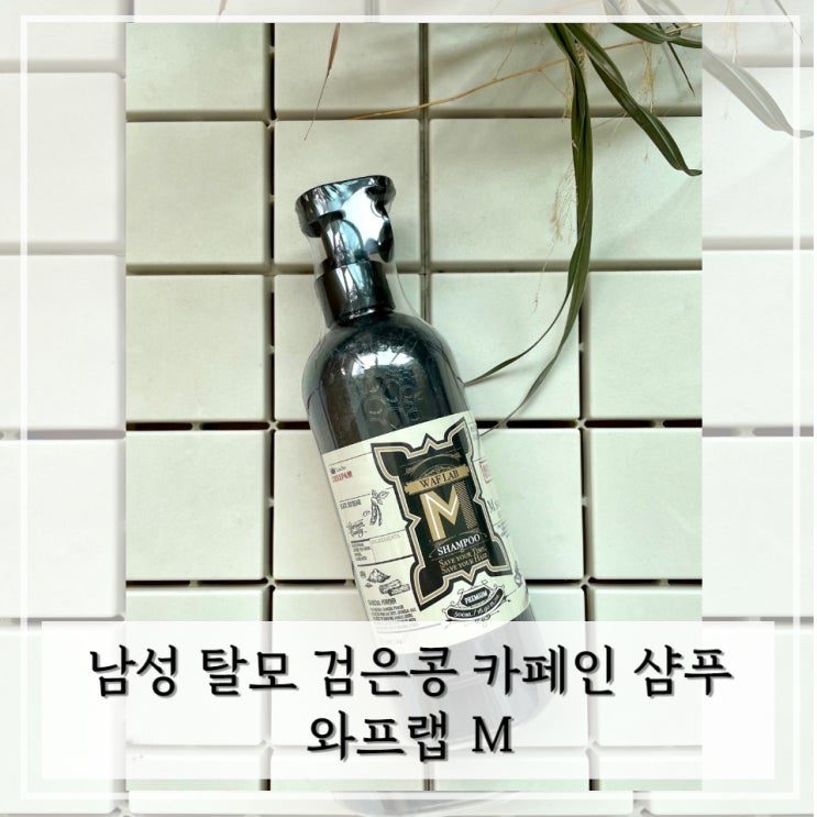  남성탈모샴푸 검은콩 카페인 샴푸 사용 후기 < 와프랩 M >
