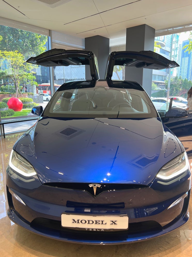  서울 신사 테슬라(Tesla) 신사스토어 모델Y 시승 가능 (신사스퀘어 주차/얀쿠브레&카페꼼마)
