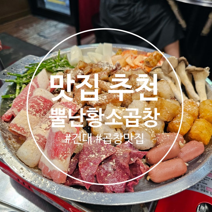  건대 곱창 맛집 추천 :: 뿔난 황소곱창 건대본점