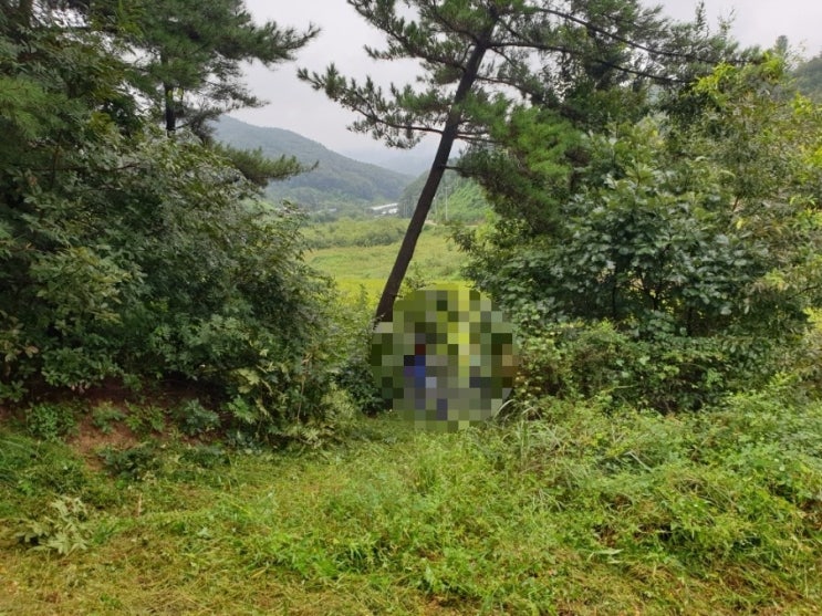  2023년 김천 어모면 구례리 2기벌초 고인돌장묘개발장