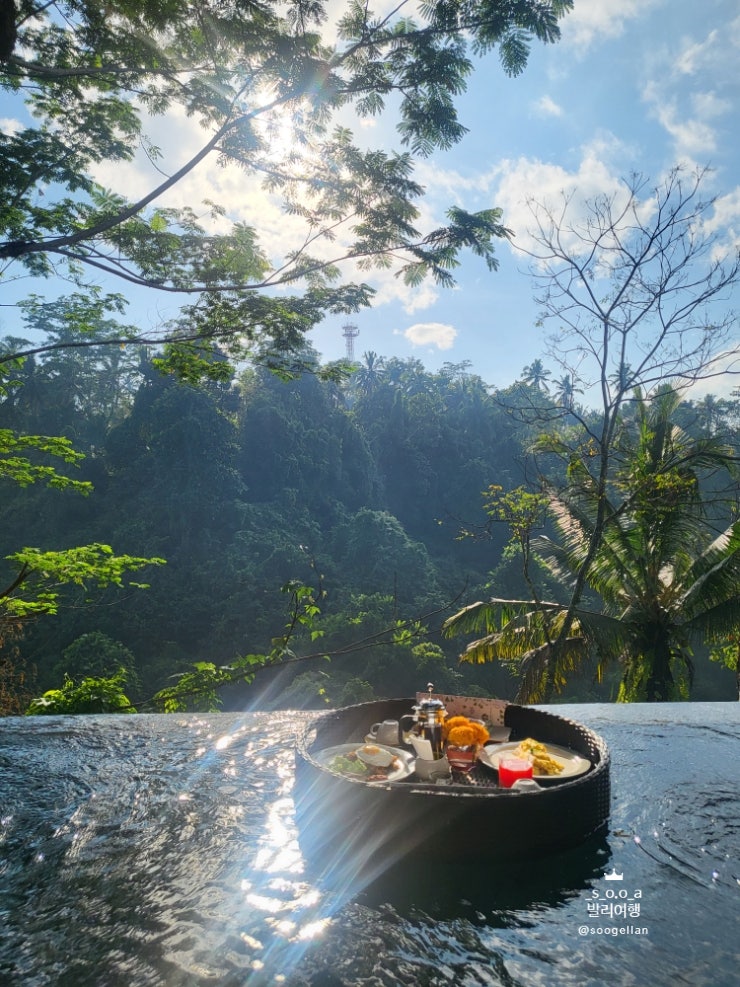 발리 여행 우붓 가성비 풀빌라 추천 Tejaprana Resort & Spa 테자프라나 리조트 앤 스파 / ARUNA 레스토랑 메뉴, 플로팅 조식 후기 및 꿀팁