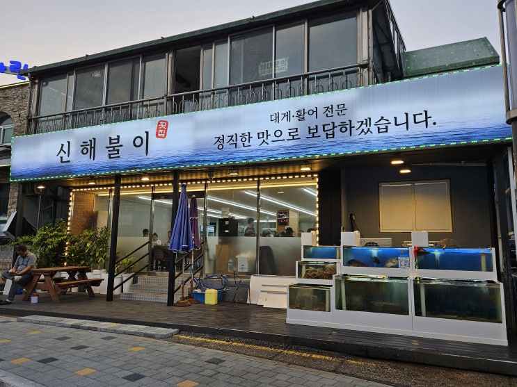  속초의 숨은 보석, 신해불이 횟집 대포항 대게,모듬회 푸짐해요