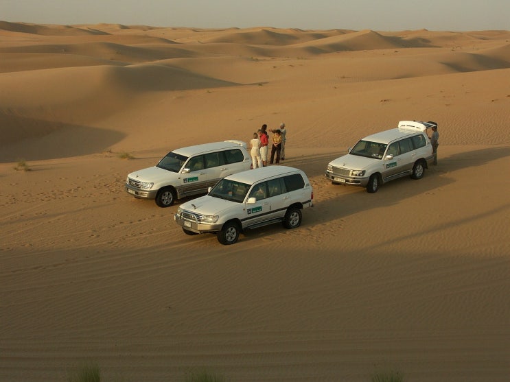  UAE 주재원 비자
