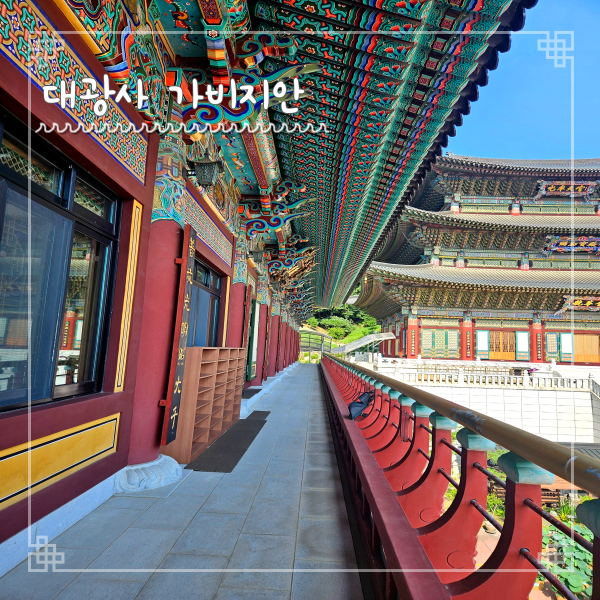  분당 북카페 대광사 가비지안 블루베리 빙수와 아이스 아메리카노