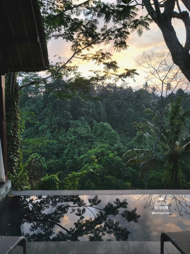  발리 여행 우붓 가성비 풀빌라 추천 Tejaprana Resort & Spa 테자프라나 리조트 앤 스파의 모든 것 / 벨리뷰 객실, 플라워배쓰, 수영장, 카페, 마사지 스파